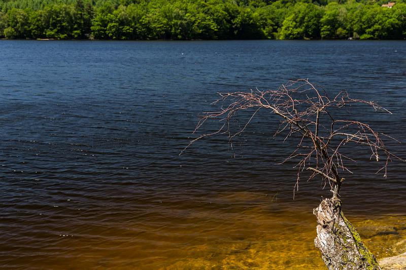 2018_06_23_LAC DE CHAUMECON  (0007).jpg - Au lac de Chaumeçon, Morvan (Juin 2018)